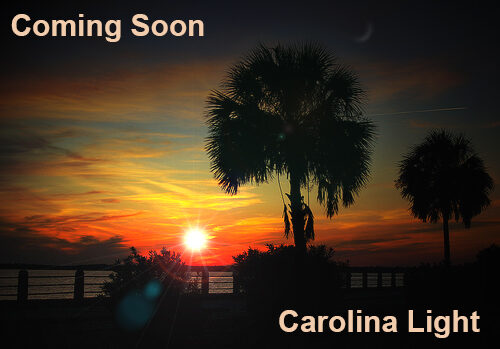 Carolina Light Website Coming Soon